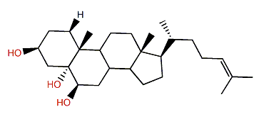 Muriflasteroid C